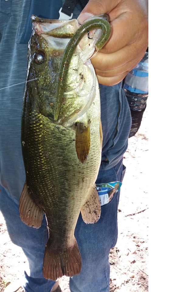 ESFISHING Soft Bait Fishing Se - Fishing Equipment Ebay review and price